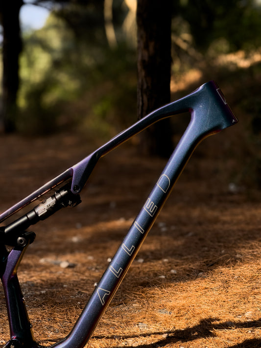 ALLIED BC40 Harlequin paint, purple-green, premium bike frame