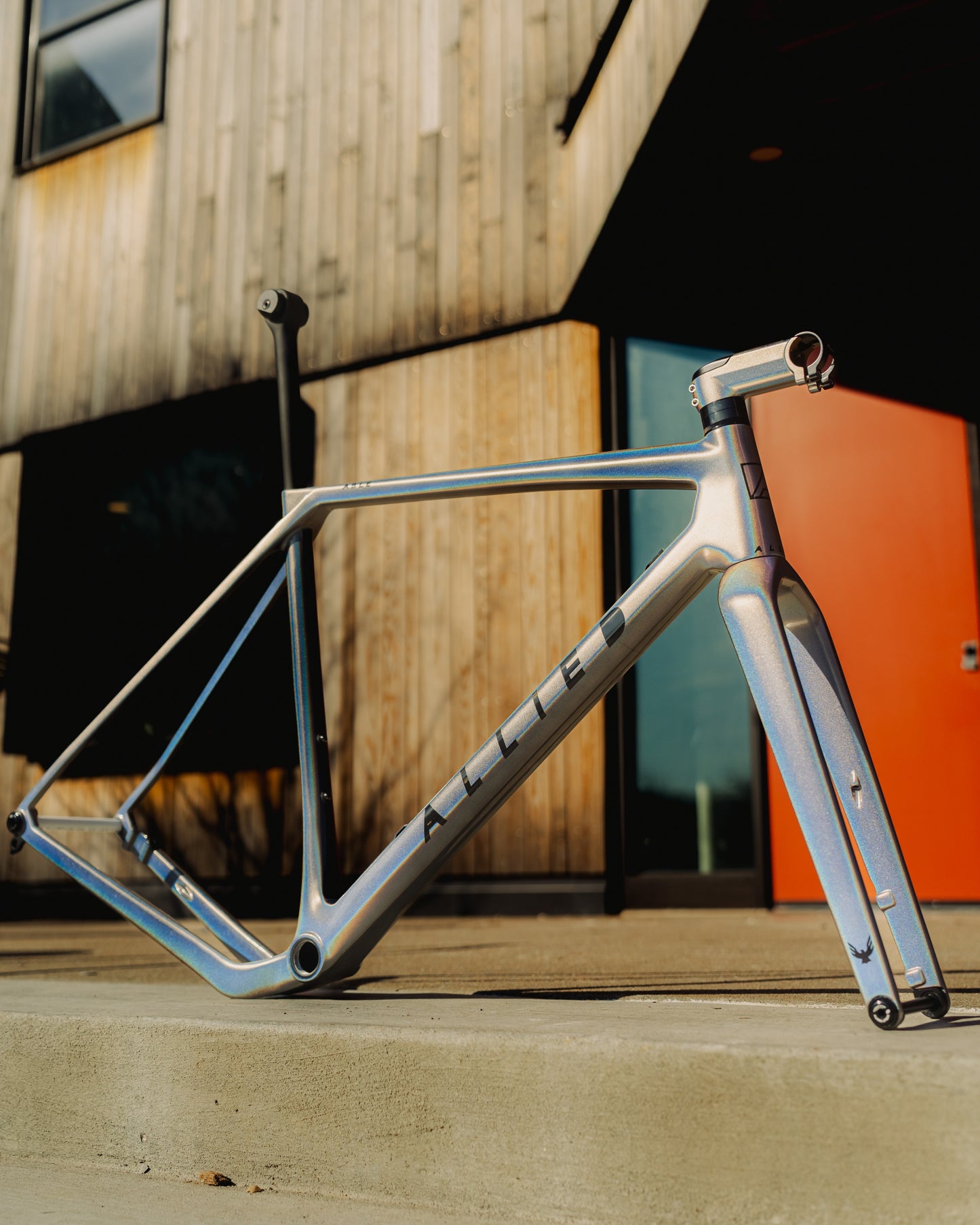 ALLIED ABLE frameset, gravel bike, side view