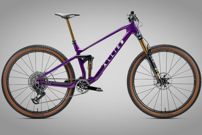 ALLIED FITZ FRAMESET