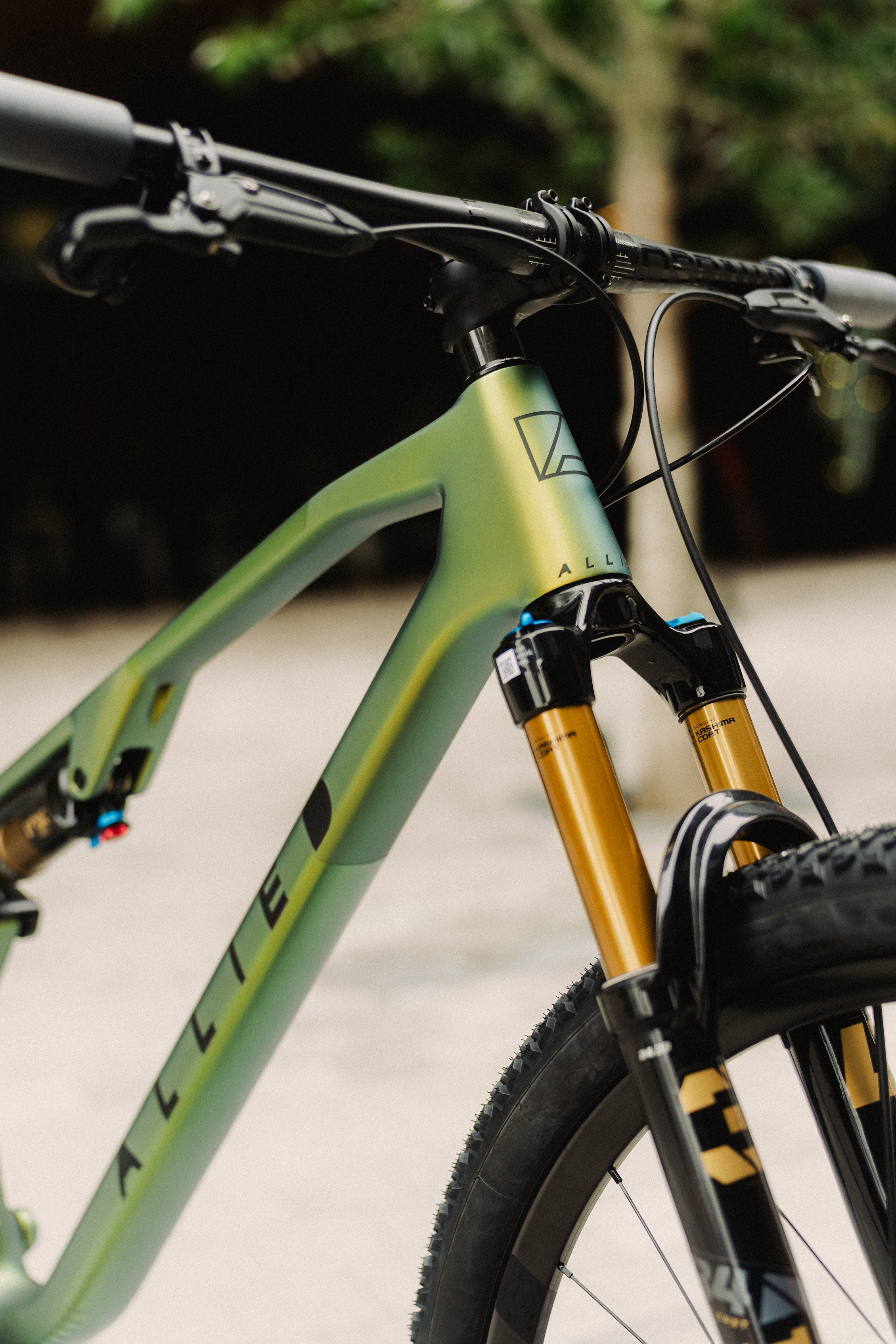 ALLIED BC40 carbon road frameset, detail view